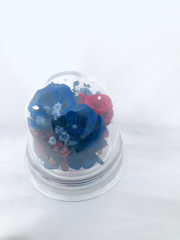 プリザーブドフラワー赤と青薔薇のミニドーム 4枚目の画像