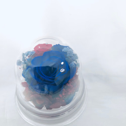 プリザーブドフラワー赤と青薔薇のミニドーム 9枚目の画像