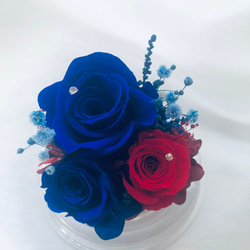 プリザーブドフラワー赤と青薔薇のミニドーム 7枚目の画像