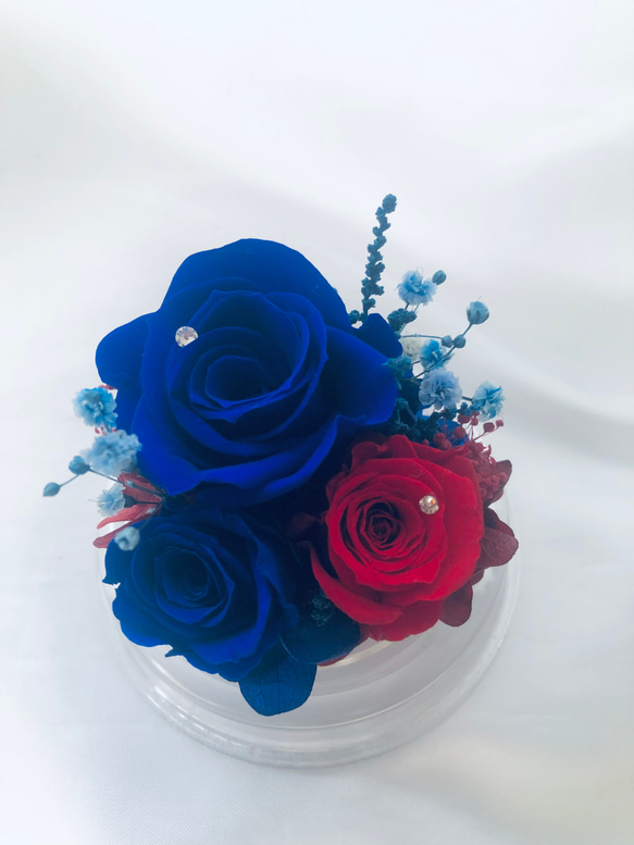 プリザーブドフラワー赤と青薔薇のミニドーム 7枚目の画像