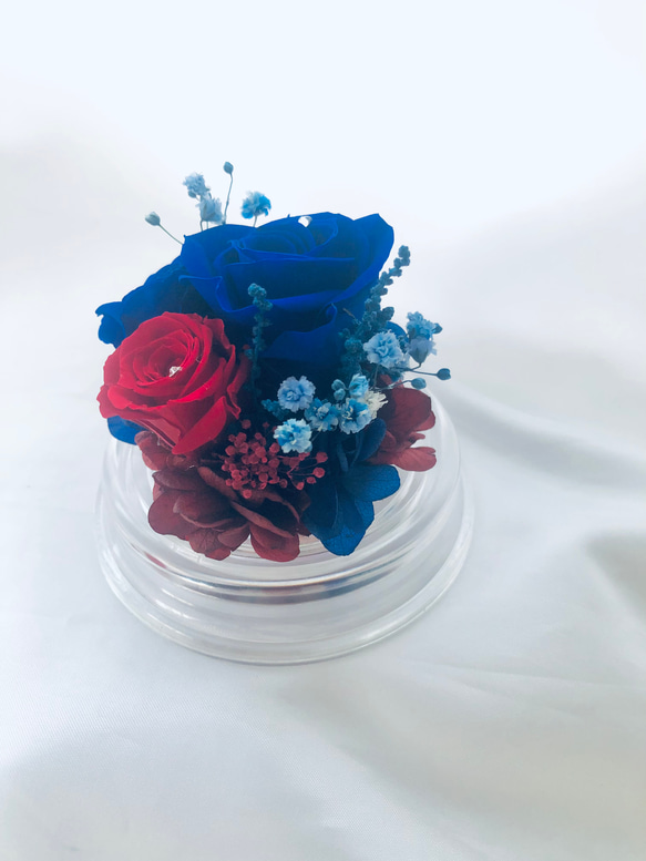 プリザーブドフラワー赤と青薔薇のミニドーム 5枚目の画像