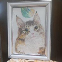 猫の 水彩画 絵画 シンセイ 水彩画 通販 16056206｜Creema(クリーマ)
