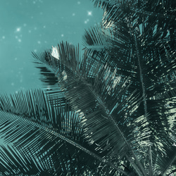 海洋月光月亮棕櫚樹綠色/室內海報外國藝術 2 件套 / 4960 第6張的照片