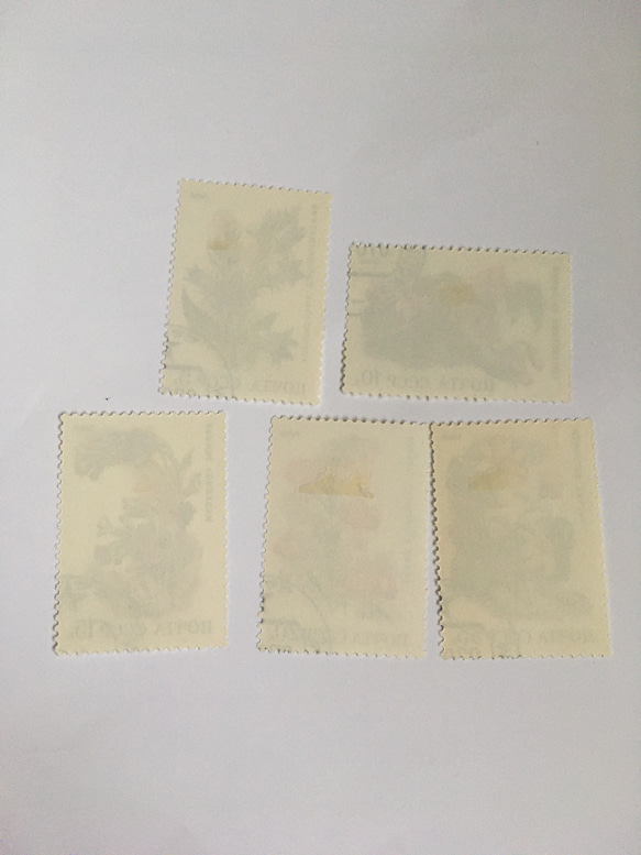 使用済切手  ソビエト 花5枚セット 2枚目の画像