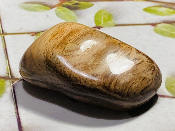 樹の化石✨珪化木　ペトリファイドウッド　原石　タンブル