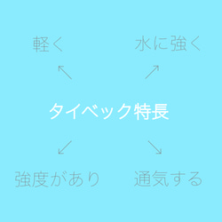 《送料無料キャンペーン中♪》タイベック使用フラットポーチ⭐︎受注製作 8枚目の画像