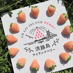 淡路島の白いちごのベイクドチーズケーキ 6枚目の画像