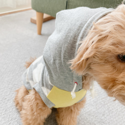 犬服☆おっきな水玉のフード付きタンク 8枚目の画像