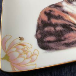 三毛猫と和菊の長皿 2枚目の画像