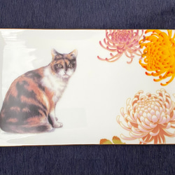 三毛猫と和菊の長皿 1枚目の画像