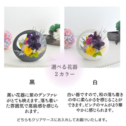 デンファレ、ぽんぽん菊の仏花、お供え花、お悔みに　和風　プリザーブドフラワー（専用クリアケース付き） 3枚目の画像