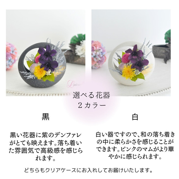 デンファレ、ぽんぽん菊の仏花、お供え花、お悔みに　和風　プリザーブドフラワー（専用クリアケース付き） 3枚目の画像