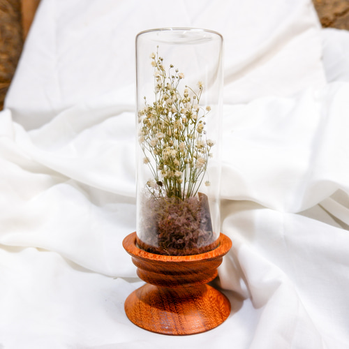 植物標本 かすみ草 フリーズドライフラワー botanical specimen