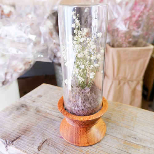 植物標本 かすみ草 フリーズドライフラワー botanical specimen