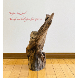 流木インテリア 芸術的な造形の流木スタンド 植物や小物を置いて飾れる置物 天然流木 木材 N2 8枚目の画像