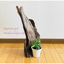 流木インテリア 芸術的な造形の流木スタンド 植物や小物を置いて飾れる置物 天然流木 木材 N2 1枚目の画像
