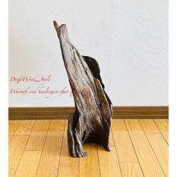 流木インテリア 芸術的な造形の流木スタンド 植物や小物を置いて飾れる置物 天然流木 木材 N2 5枚目の画像