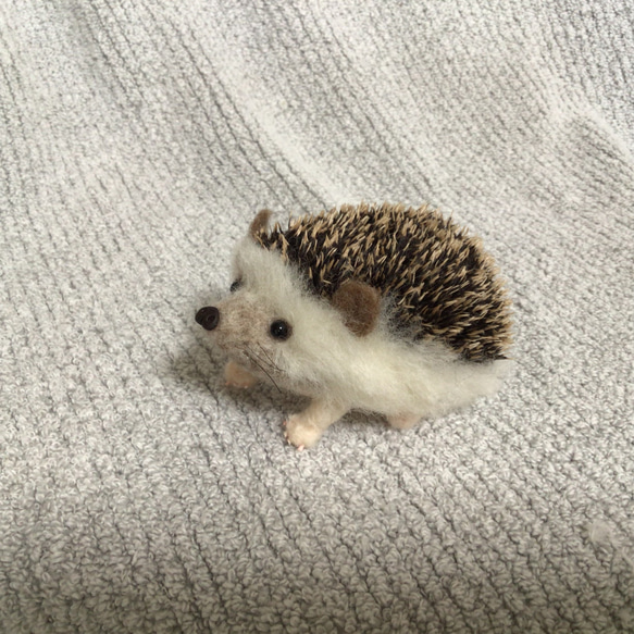 羊毛フェルト 可愛いハリネズミ中 顔薄茶 羊毛フェルト Daisy