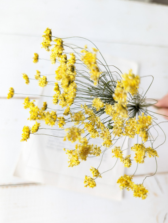 ♡ルクルーゼ　ソースパン　ソレイユ　フラワーつまみ　黄色　レモン　イエロー　新品 ♡ルクルーゼ ソースパン ソレイユ フラワーつまみ 黄色 レモン