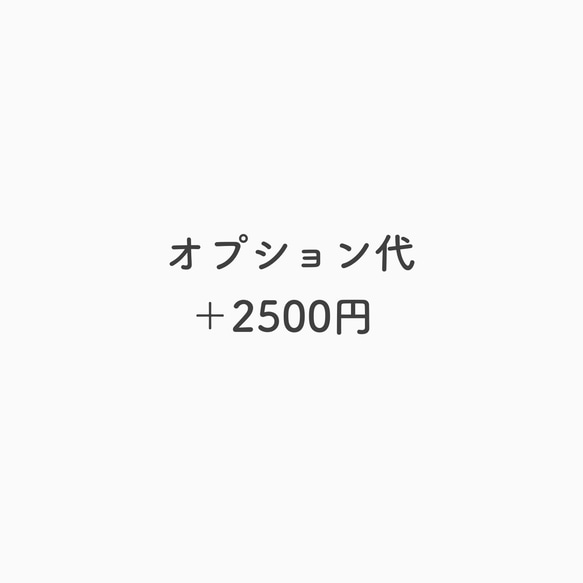 オプション＋2500円 1枚目の画像