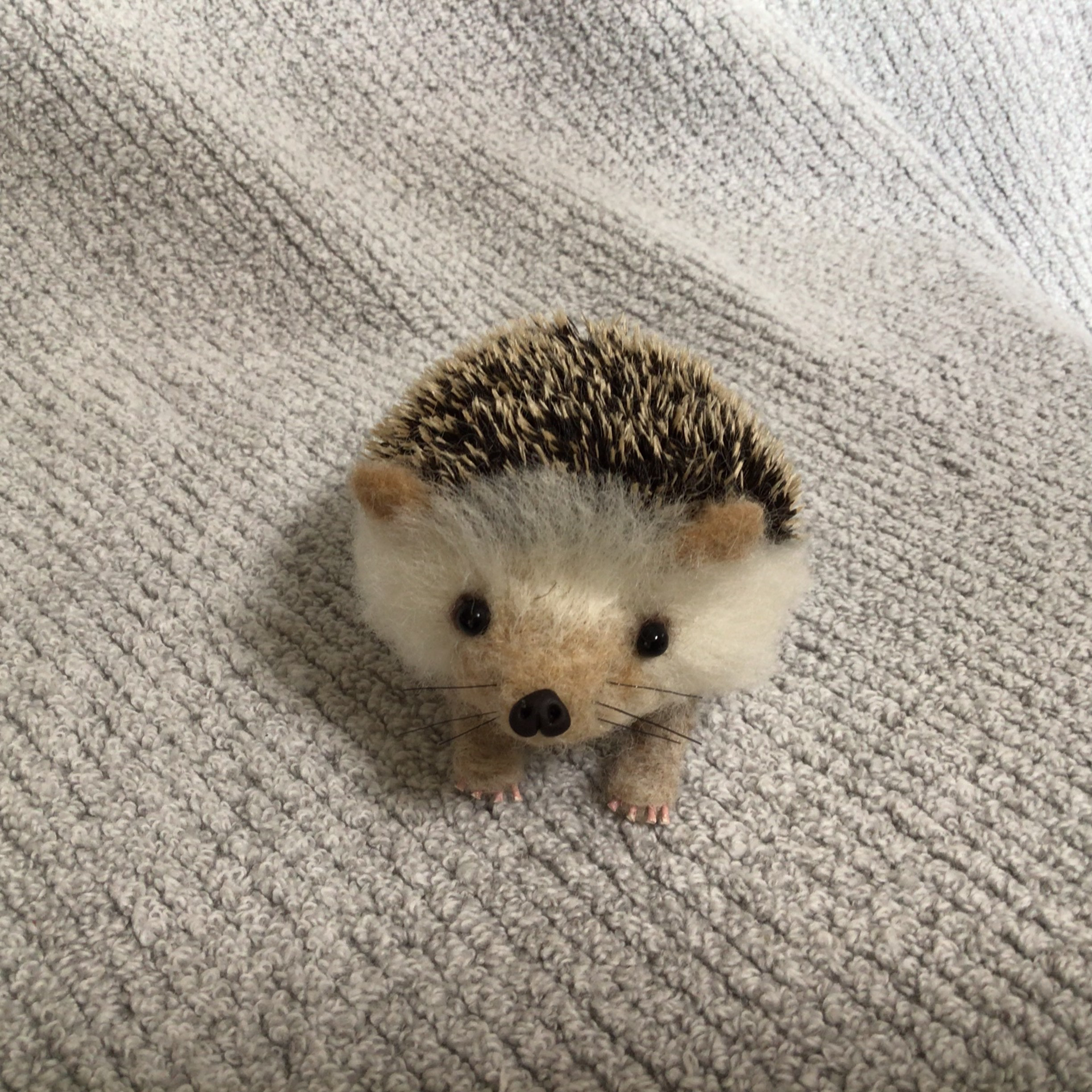 羊毛フェルト　可愛いハリネズミ中　顔ベージュ