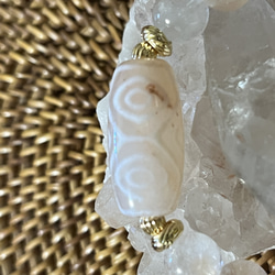 アプリコット龍眼ちゃん❁⃘*.゜大地の恵ブレスさん