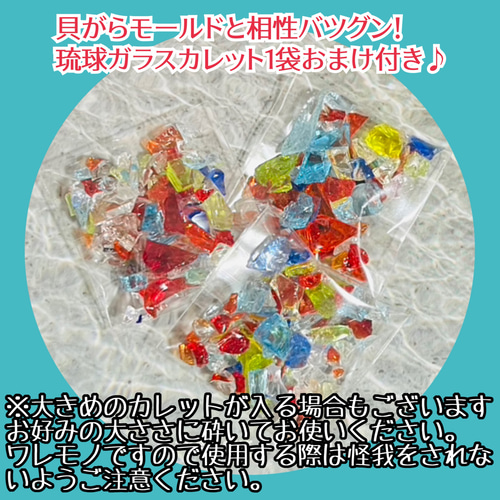 シェル 貝殻 2サイズ シリコンモールド レジン ハンドメイド