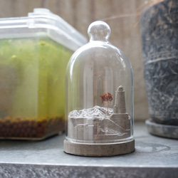 d75bb52a337a03e0f90acf92596416