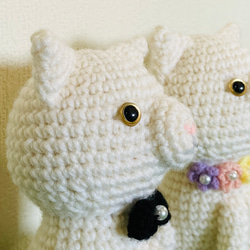 苔田かえる作‼️【ウェルカムドール】白猫のあみぐるみ 10枚目の画像