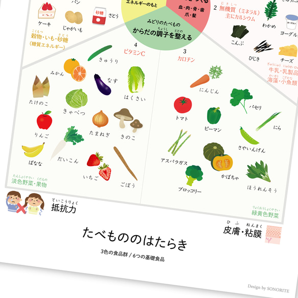 【お風呂対応】たべものの働き ポスター 栄養素  食事 エネルギ― A3サイズ ポスター 小学 受験 インテリア　角丸 4枚目の画像