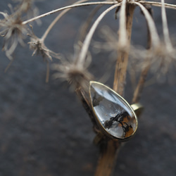 dendritic quartz brass ring (sumie) 5枚目の画像