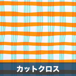 カットクロス Windham Fabrics / Lucky Rabbit / Painted Plaid Orange 1枚目の画像