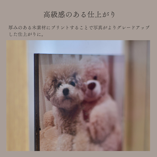 フォトフレーム オリジナル うちの子 オーダーメイド ペット フォト