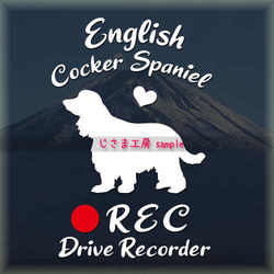 わんちゃんの可愛いドラレコステッカー!!『DRIVE　RECORDER』 1枚目の画像