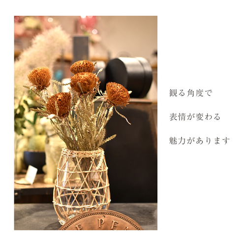 ドライアンドラフォルモーサ ドライフラワー ワイルドフラワー