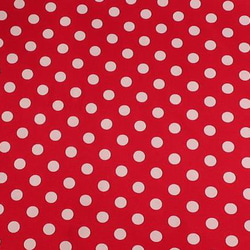 フレンチブルドック服　ラグラン　赤×白　星柄　&タンクトップ　いちご＆　タンクトップ　水玉　お客様ご予約品 3枚目の画像