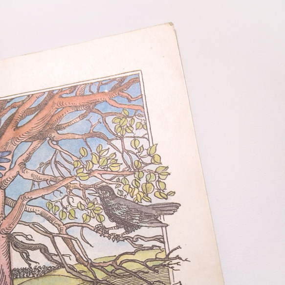 牧場の木と鳥と牛 リトアニア洋書 カルトン 戯画 イラスト図版 ヴィンテージペーパー 2002－3 7枚目の画像