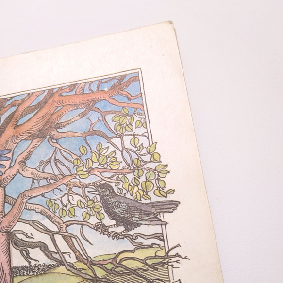 牧場の木と鳥と牛 リトアニア洋書 カルトン 戯画 イラスト図版 ヴィンテージペーパー 2002－3 6枚目の画像
