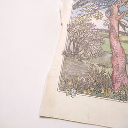 牧場の木と鳥と牛 リトアニア洋書 カルトン 戯画 イラスト図版 ヴィンテージペーパー 2002－3 5枚目の画像