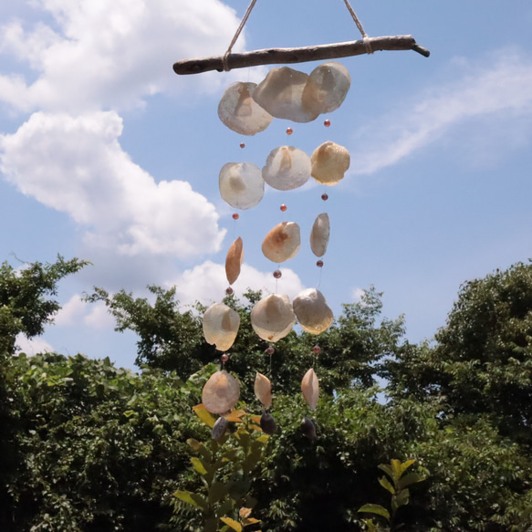 セレビィ　風鈴　ウィンドチャイム　フィギュア 楽天市場】ぽれぽれ 木彫り 動物 ウィンドチャイム 風鈴 ウェルカム