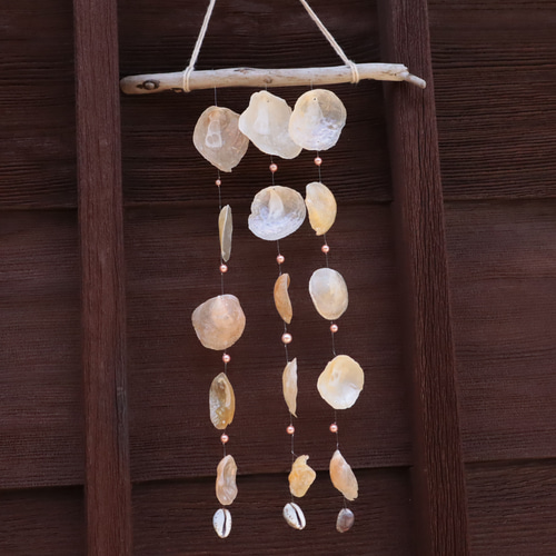 ウィンドウチャイム 貝 風鈴 Cocoparis75 通販 16062761｜Creema(クリーマ)