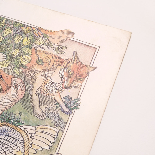 アヒルとウサギとキツネ リトアニア洋書 カルトン 戯画 紙ものイラスト