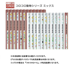 虹色えんぴつ入り！！名入れ鉛筆12本セット【黒えんぴつ11本＆虹色えんぴつ1本】 コロコロ動物シリーズ 2枚目の画像