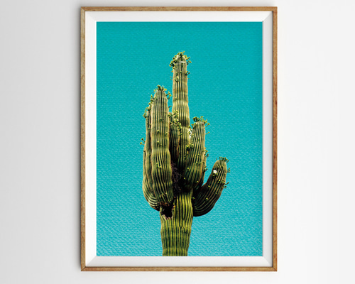 サボテンアートポスター｜ターコイズブルーで彩るおしゃれ南国