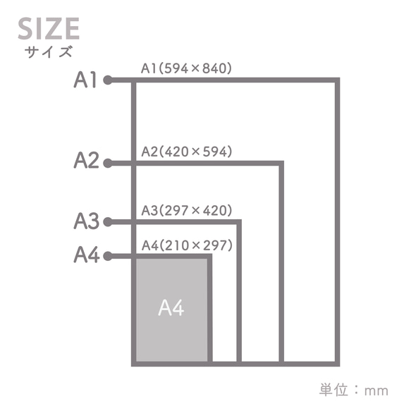 第11張的照片
