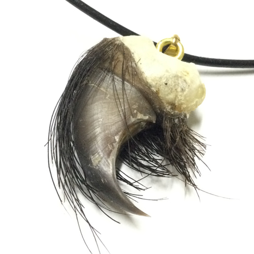 一点物＆魔.除けの御守り 毛皮付き熊の爪 ネックレス ②