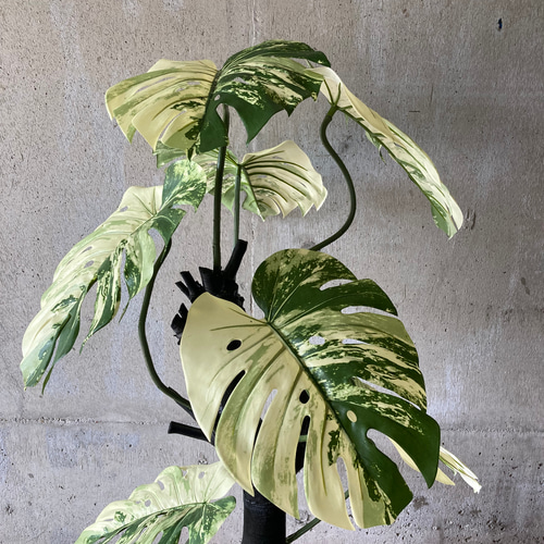 光触媒 人工観葉植物 ウォールグリーン フェイクグリーン モンステラ