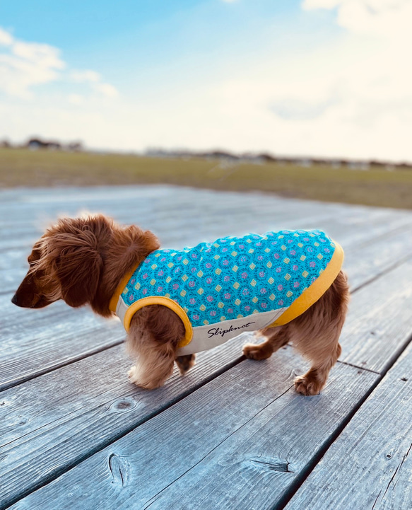 【送料無料】【さらさ】ダックス 小型犬用洋服 綿ノースリーブ 犬服 ダックス プードル チワワ 14枚目の画像