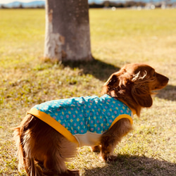 【送料無料】【さらさ】ダックス 小型犬用洋服 綿ノースリーブ 犬服 ダックス プードル チワワ 18枚目の画像