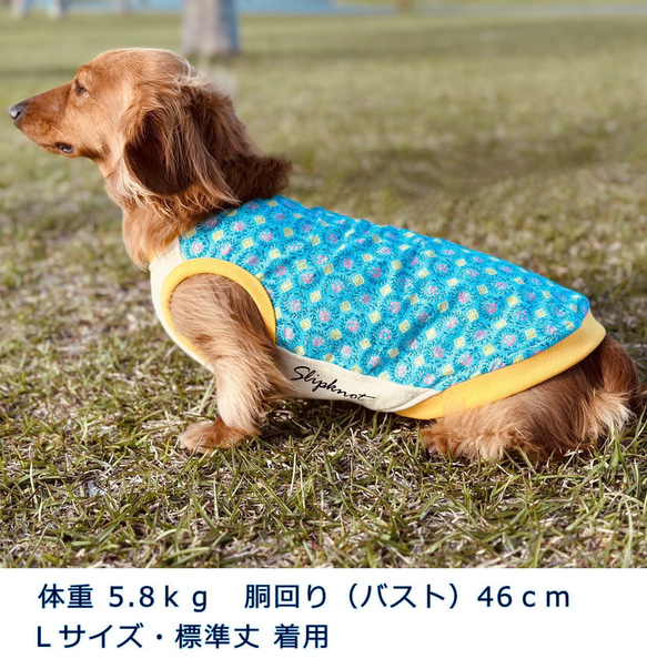 【送料無料】【さらさ】ダックス 小型犬用洋服 綿ノースリーブ 犬服 ダックス プードル チワワ 9枚目の画像